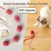 Interactive Cat Ball Toy with Automatic Rolling Tail & Rechargeable Smart Mouse - Image 5