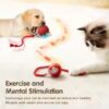 Interactive Cat Ball Toy with Automatic Rolling Tail & Rechargeable Smart Mouse - Image 3